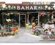 BAHAR ÇİÇEKÇİLİK