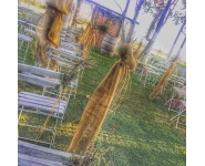 BCN GREENPARK DÜĞÜN SALONU 