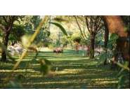 ‪DOKUZ OLUK KIR DÜĞÜN 