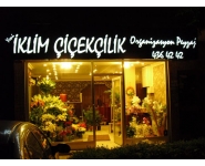 İKLİM ÇİÇEKÇİLİK