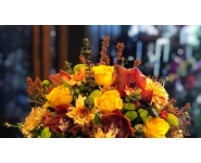 VERA ÇİÇEKÇİLİK 