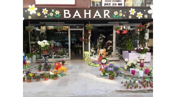 BAHAR ÇİÇEKÇİLİK